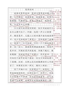 中考满分作文如何炼成？批改秘诀在哪？