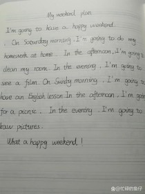 my plan for英语作文，30字疑问标题怎么拟？