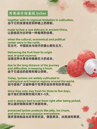 荔枝英语作文如何生动描绘其独特魅力？