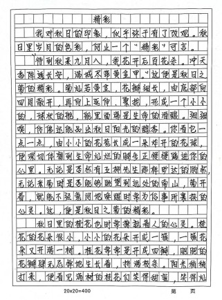 何处见精彩？作文何处藏精彩？