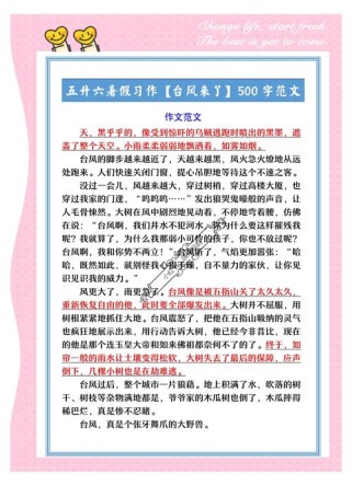 风来了的作文600字
