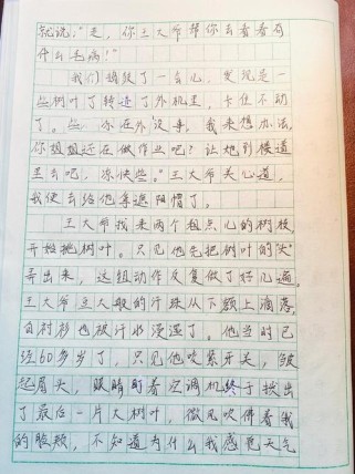 _真_作文中的真究竟指什么？