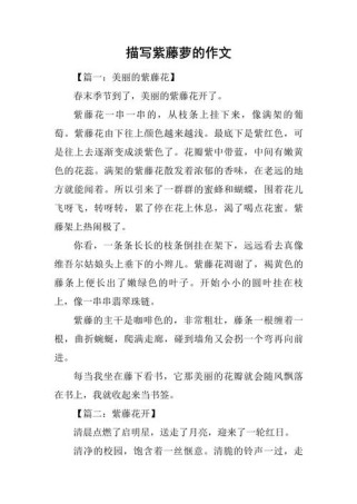 紫藤萝与牵牛花，谁更惹人爱？