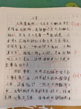 夏天小草的作文600字