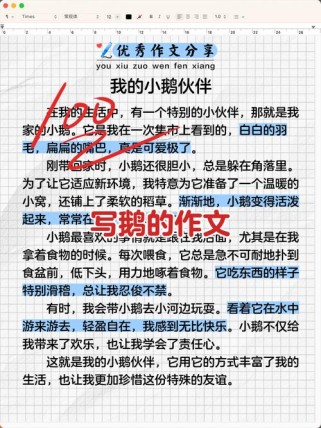 古诗鹅作文如何写好400字？