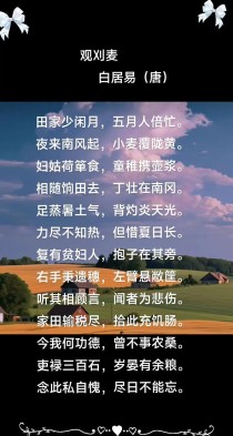 观刈麦名句如何凝练民生疾苦？