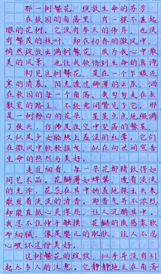 初一第五单元作文写什么？