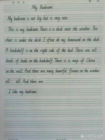 明年此时英语作文