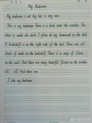 明年此时英语作文