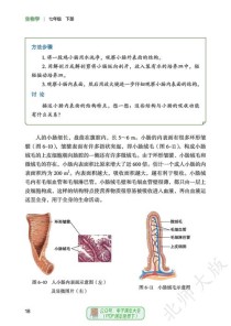 七年级生物下册第一课核心知识点是什么？