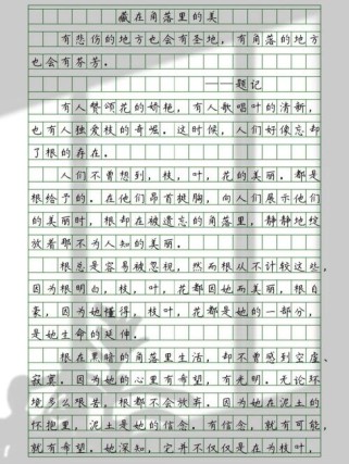 藏在角落美作文600字