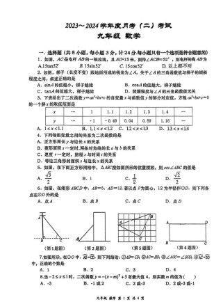 九年级第二次月考试卷难点在哪里？