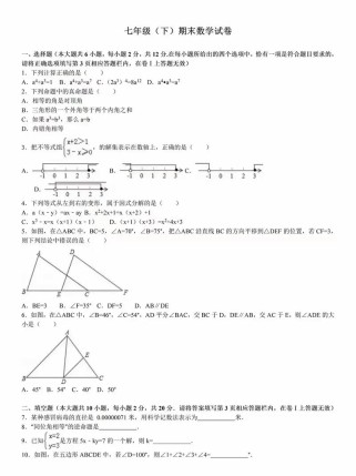 7年级下册期末试卷数学