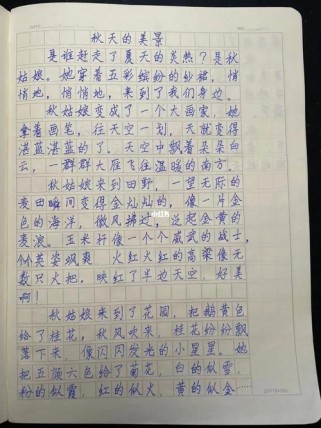 秋天的作文写事的