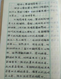 作文 因为_我更_