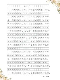 他她它为何让我感到作文？