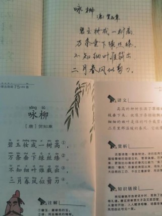 古诗咏柳教案如何编写更高效？