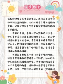 角落里的美，究竟藏着怎样的故事？