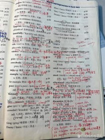 八上英语五单元单词表重点有哪些？