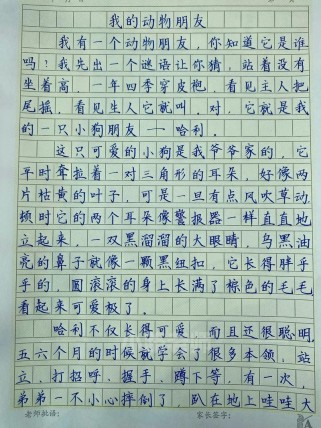 七年级500字作文该怎么写？
