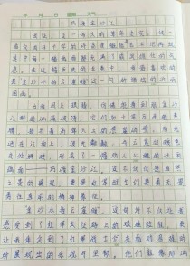 以巧为话题的作文