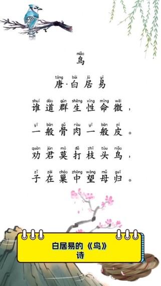 摘抄一些关于鸟的古诗句