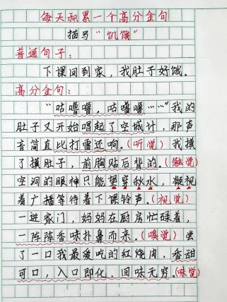 饥饿者的抉择，为何不共享食物？