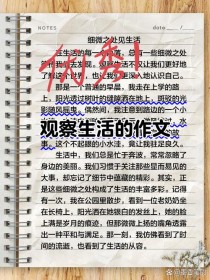 写作与生活，初中作文如何巧妙结合？