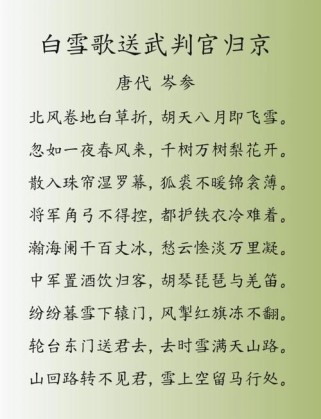 白雪歌如何描绘塞外雪景与戍边情思？