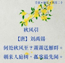 秋风在古诗词中的意象