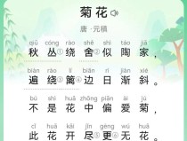 古诗菊花教学PPT如何设计？