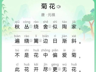 古诗菊花教学PPT如何设计？