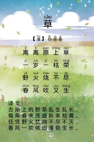 草诗究竟寄托了何种情感？