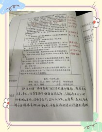 古诗出塞教学反思，如何提升课堂实效？