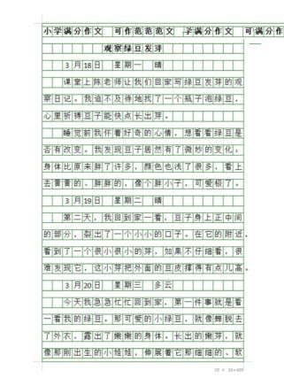 观察日记，300字里藏着什么秘密？