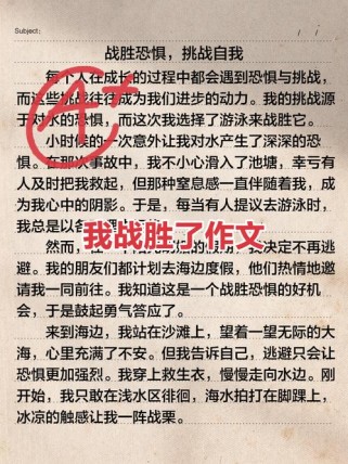 我征服了什么作文