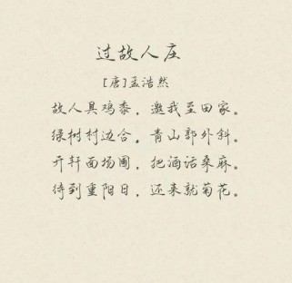 过故人庄的古诗运用题