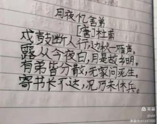 月夜忆舍弟默写，为何杜甫月夜独忆弟？