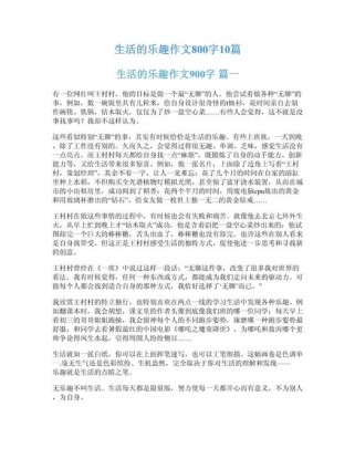 关于乐趣的作文800字