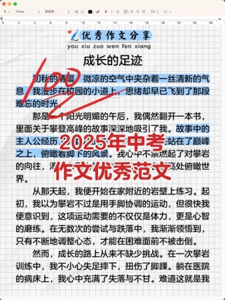 2025中考作文怎么写？评分标准是什么？