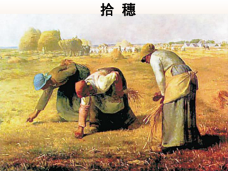 拾穗如何教会孩子珍惜粮食？