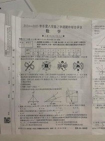 天津市八年级上册数学重点难点解析？