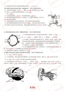 八年级上册生物期中测试题重点难点有哪些？