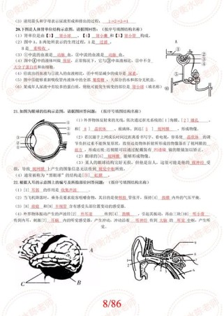 八年级上册生物期中测试题重点难点有哪些？