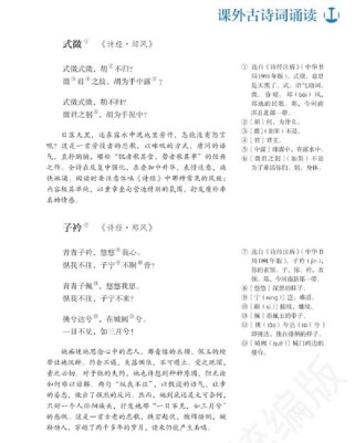 八年级下古诗文重点难点解析与备考策略？