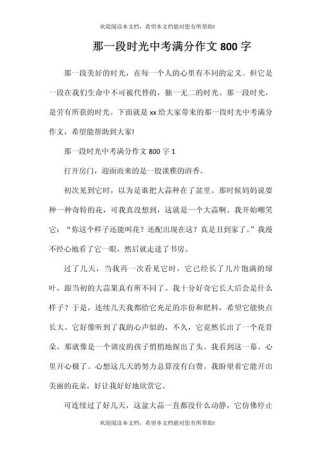 那段美好时光，为何总让人念念不忘？