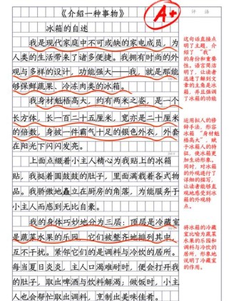 五年级如何介绍一种事物？写作方法有哪些？