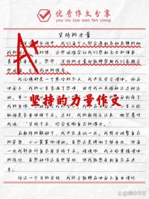 有一种力量叫坚持作文