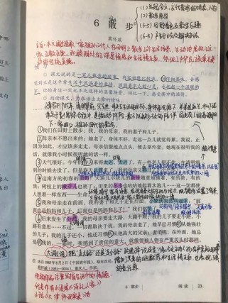 散步中为何选择散步这一日常小事？