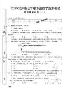 北师大七年级期末试卷有何重点难点？